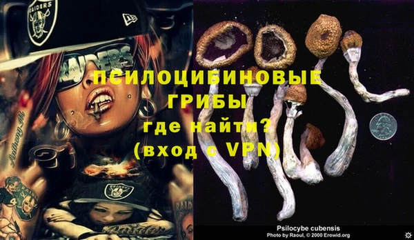 каннабис Абаза
