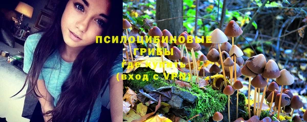 apvp Кодинск