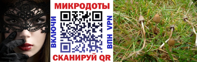 наркотики Яхрома Псилоцибиновые грибы Magic Shrooms