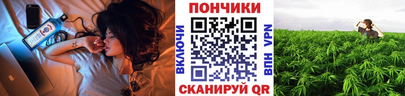omg   Яхрома  Бошки Шишки план 